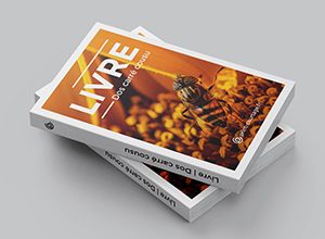 Livre cousu