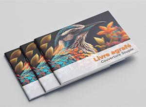 livrer agrafe - 300x220 - menu